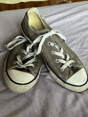Kids Gray Low-Top Converse Canvas Sneakers
